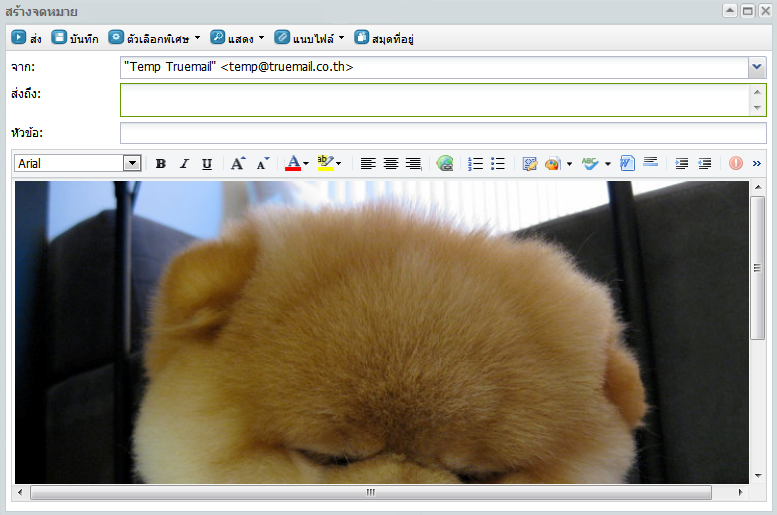 Example of an Inline image