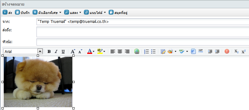 Image properties editor